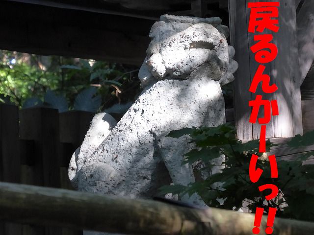 イメージ 18