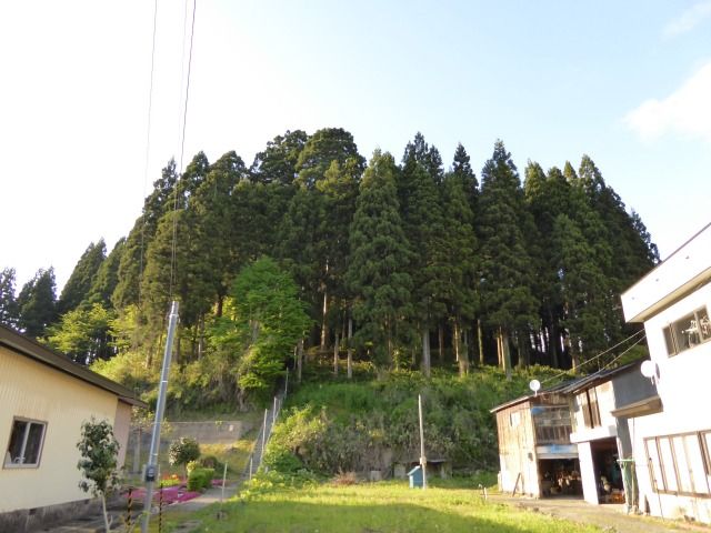 イメージ 1