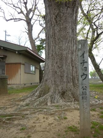 イメージ 15