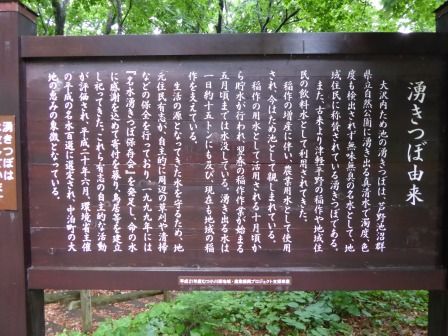 イメージ 18
