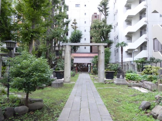 イメージ 41