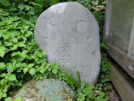 イメージ 43