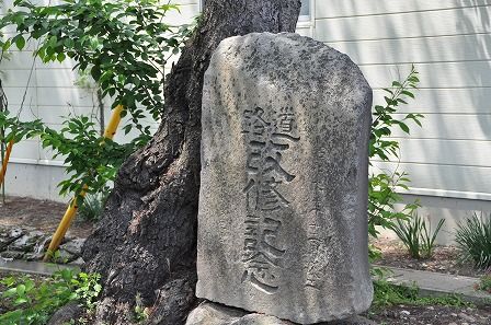 イメージ 5