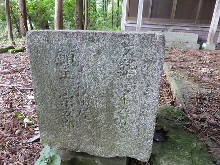 イメージ 7
