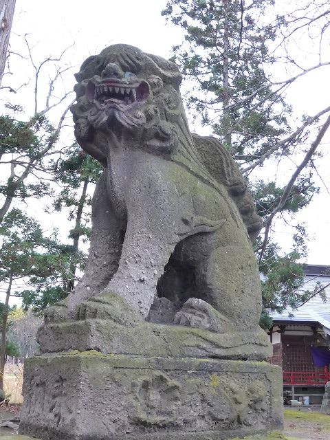 イメージ 6