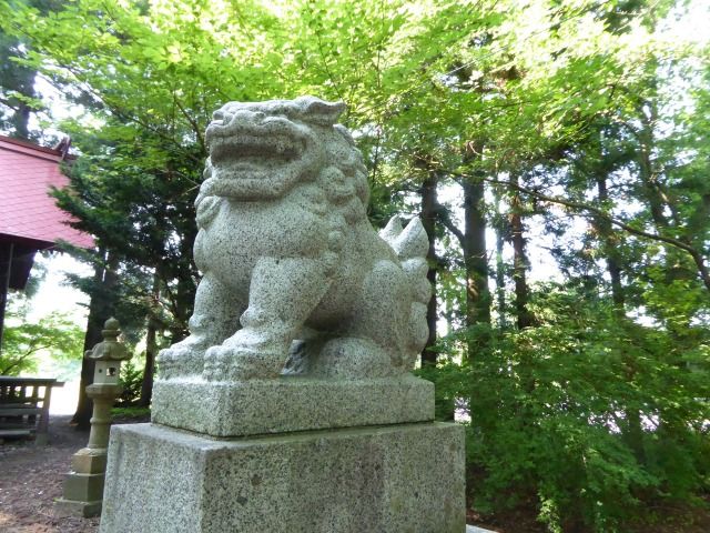 イメージ 7