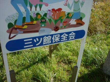 イメージ 6