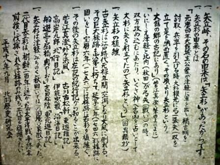 イメージ 17