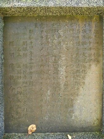 イメージ 8