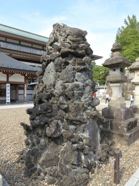 イメージ 12