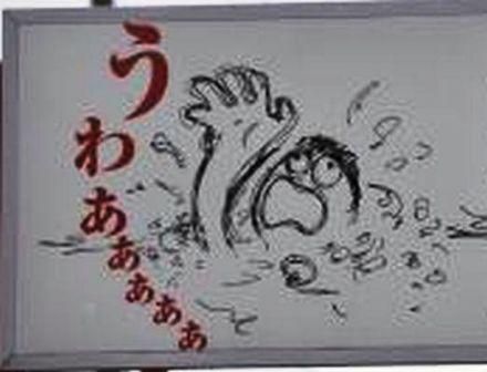 イメージ 12