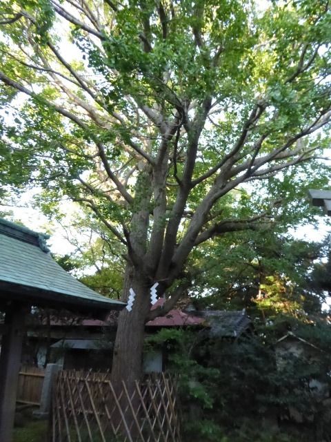 イメージ 38