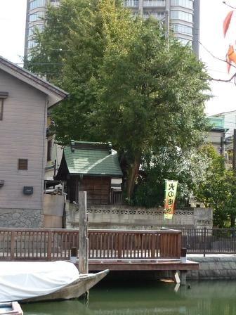 イメージ 20