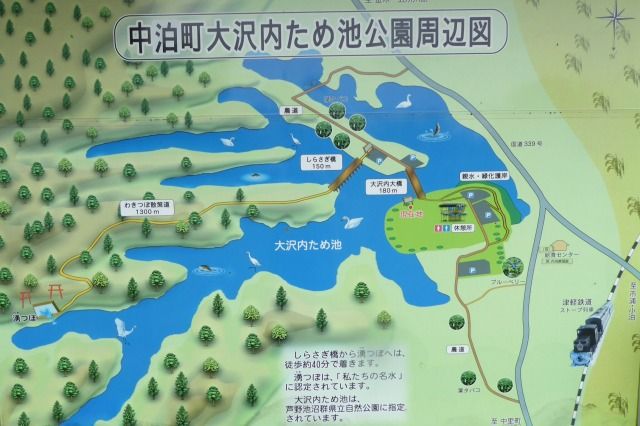 イメージ 3