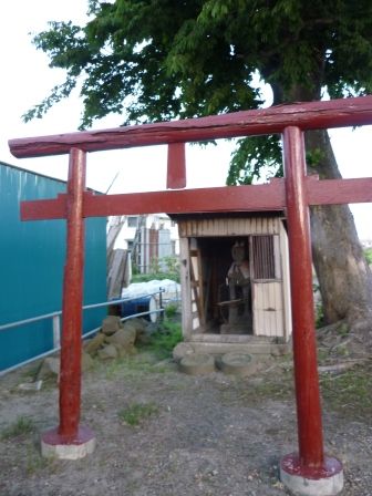 イメージ 7