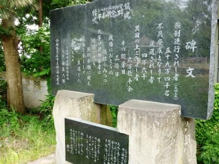 イメージ 16