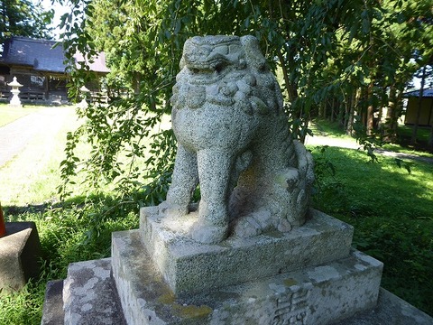 17