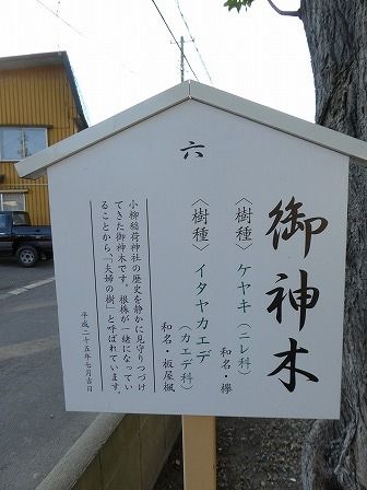 イメージ 10