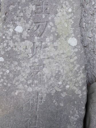 イメージ 27