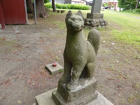 イメージ 6