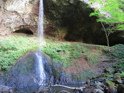 銚子の滝 （藤里町） : くぐる鳥居は鬼ばかり