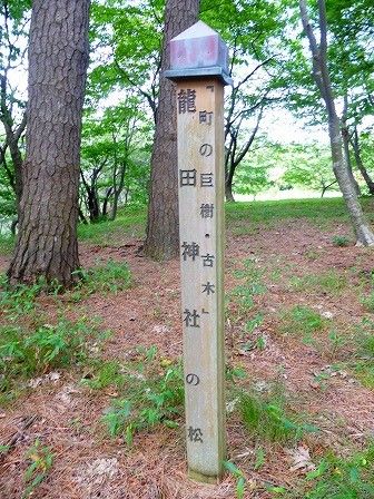 イメージ 19