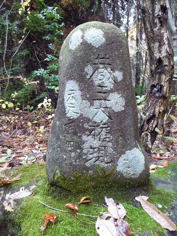66