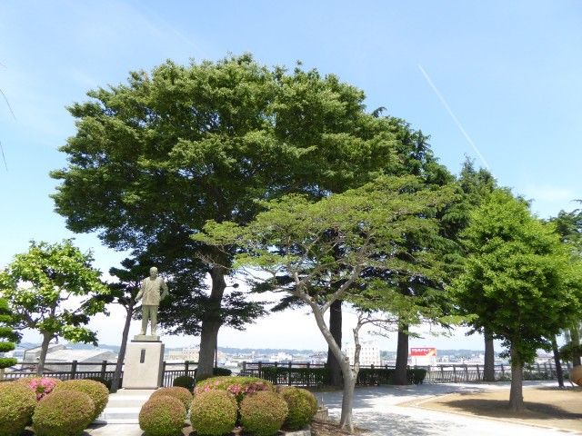 イメージ 56