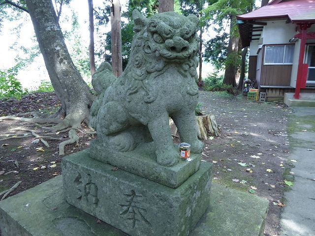 イメージ 8