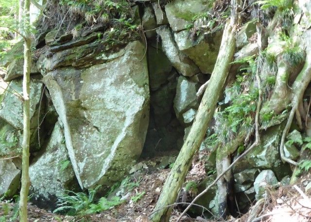 イメージ 13