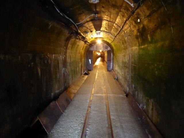 尾去沢鉱山 （山神宮） : くぐる鳥居は鬼ばかり