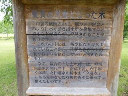 根城の広場 (根城跡 / 八戸市) : くぐる鳥居は鬼ばかり 根城の広場 (根城跡 / 八戸市) : くぐる鳥居は鬼ばかり