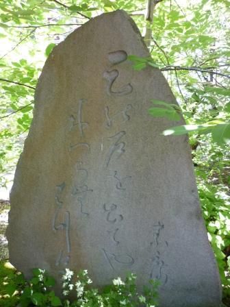 イメージ 7