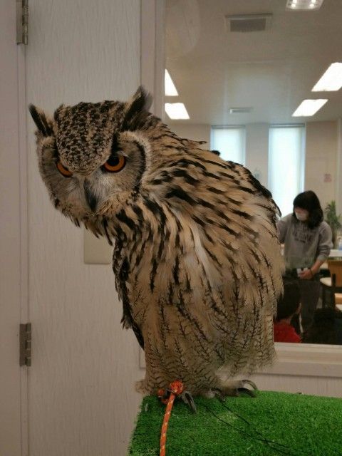 イメージ 47
