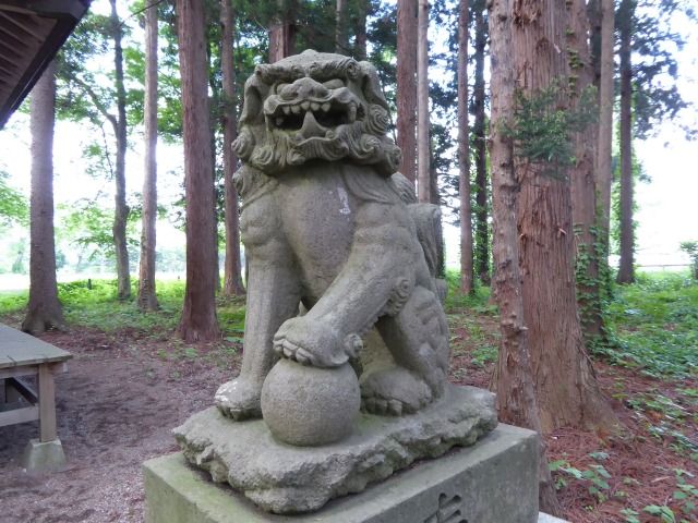 イメージ 16