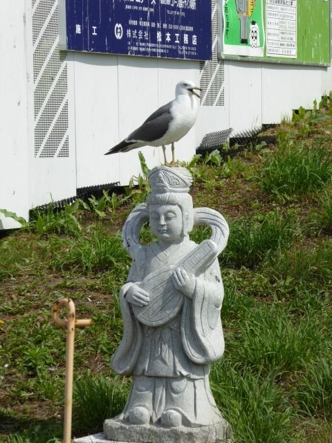 イメージ 18