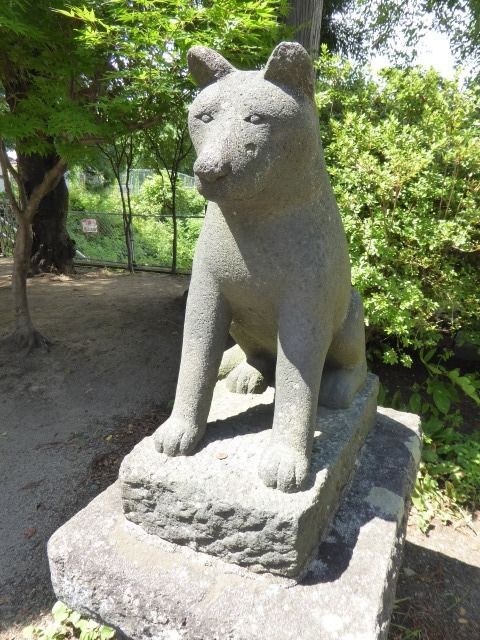 イメージ 30