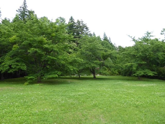 イメージ 7