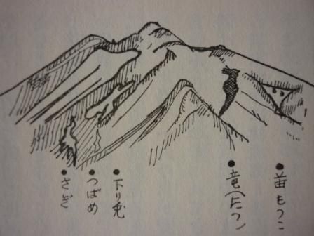 イメージ 7
