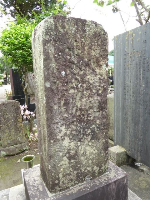 イメージ 6