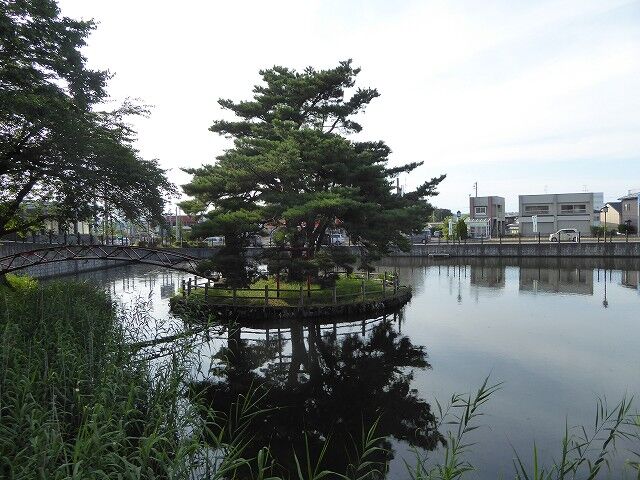 在家堤 田面木堤 くぐる鳥居は鬼ばかり