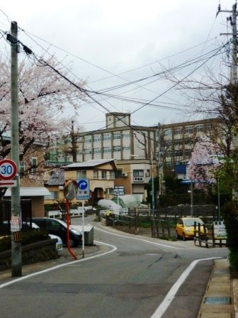 イメージ 9