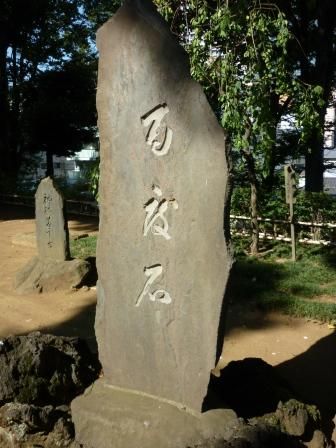 イメージ 15