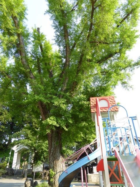 イメージ 24