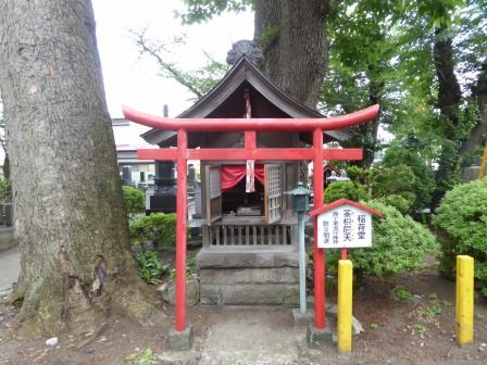 イメージ 19