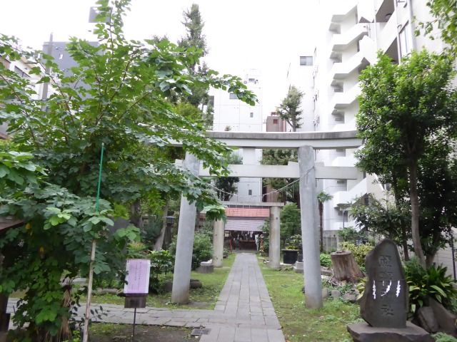 イメージ 32