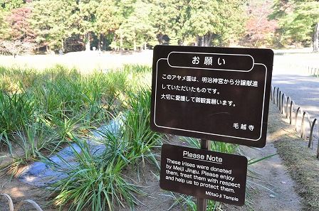 イメージ 28