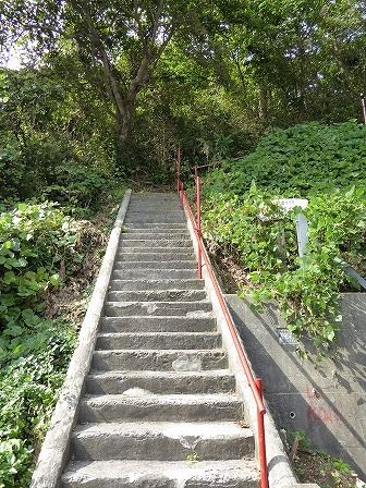 イメージ 2