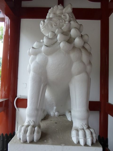 イメージ 19