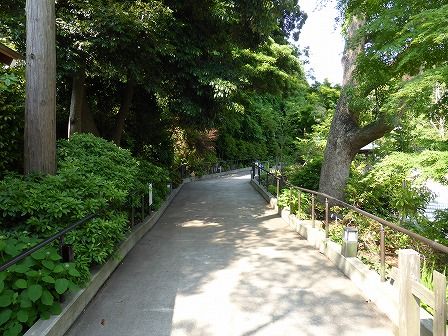 イメージ 30